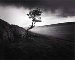 Outcrop by Martin Henson