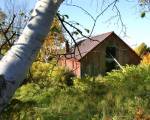 Overgrown Barn by Stephen Goodhue Stephen Goodhue