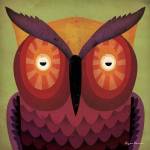 Owl WOW by Ryan Fowler