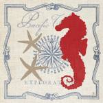 Pacific Seahorse by Studio Mousseau