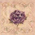 Paeonia De Lavendre by Shari White