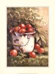 Pail of Apples by Peggy Thatch Sibley