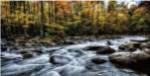 Painted Autumn by D. Burt