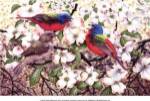 Painted Bunting by Al Dornish
