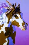 Painted Lady by Bob Coonts