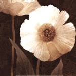 Paisley Poppy II by Keith Mallett