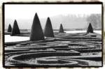 Palace of Versailles Garden I by Laura Denardo