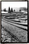 Palace of Versailles Garden II by Laura Denardo