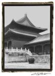 Palace Rooftops, Beijing by Laura Denardo