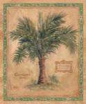 Palm Carpoxylon by Betty Whiteaker