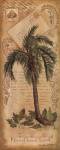 Palm Fornds II by Anita Phillips