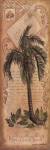 Palm Fronds II by Anita Phillips