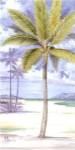 Palm Island II by Paul Brent