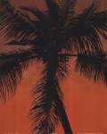 Palm on Orange by Karol King