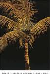 Palm Oro (24 x 36) by Robert Dunahay