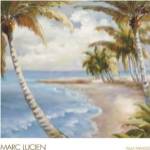 Palm Paradise by Marc Lucien