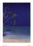 Palm Persuasion l by Fred Fieber