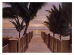 Palm Promenade by Diane Romanello