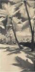 Palm Shadows II by Susan Friedman