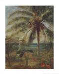 Palm Tree, Nassau by Albert Bierstadt
