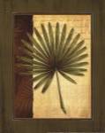 Palm Tropical I by Delphine Corbin