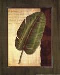 Palm Tropical II - grande by Delphine Corbin
