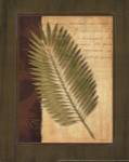 Palm Tropical III by Delphine Corbin