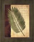 Palm Tropical III - grande by Delphine Corbin