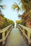 Palm Walkway I by Susan Bryant
