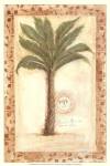 Palmetto Palm by Marianne D. Cuozzo