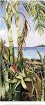Palms and Bromeliads by Deborah Thompson