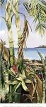 Palms and Bromeliads by Deborah Thompson