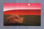 Palouse Hills, Usa by Daryl Benson