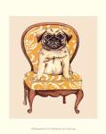 Pampered Pet I by Chariklia Zarris