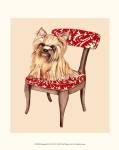 Pampered Pet II by Chariklia Zarris