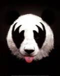 Panda Rocks by Robert Farkas