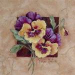 Pansy Square by Barbara Mock