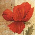 Papaver I - mini by Pamela Gladding