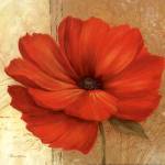 Papaver II - mini by Pamela Gladding