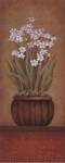 Paperwhites I - petite by Studio 3 bamboo