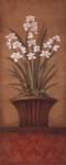 Paperwhites II - mini by Studio 3 bamboo