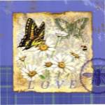 Papillion Plaid I by Jane Maday