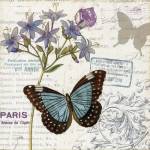 Papillon Tales II by Pela Design