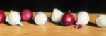 Parade of Onions by Jenny Stewart