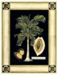 Paradise Palm V by Deborah Bookman