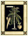 Paradise Palm VI by Deborah Bookman