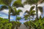 Paradise Path by Dennis Frates