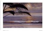 Paradisio by Diane Romanello
