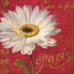 Paris Blossom I by Danhui Nai