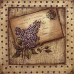 Paris Lilac by Kimberly Poloson